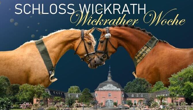 Aktuelles - Rheinisches Pferdestammbuch e.V.- Pferdezentrum Schloss ...